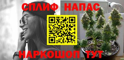 ешки Берёзовский