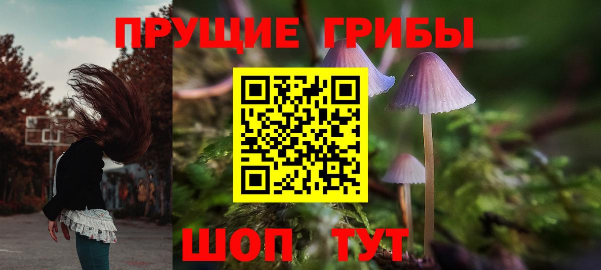 Коломна  Псилоцибиновые грибы мухоморы  Вход с VPN 